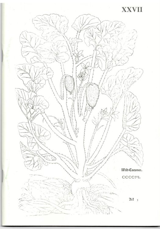 A. Sokol Books. Catalogue XXVII