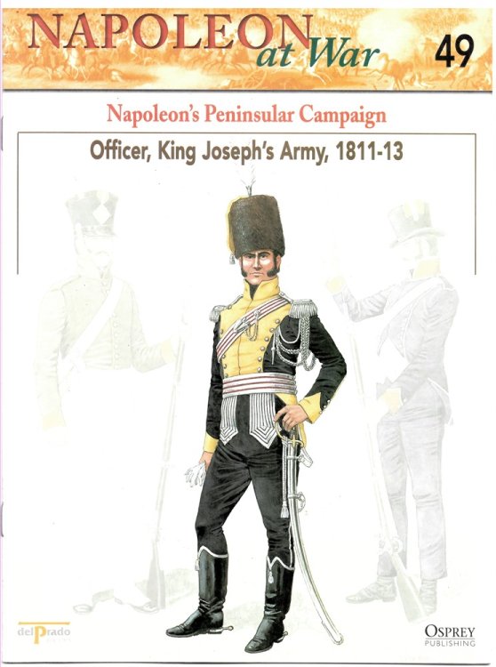 Napoleon's Peninsular Campaign. Officer, King Joseph's Army, 1811-13 (Napoleon At War 49)