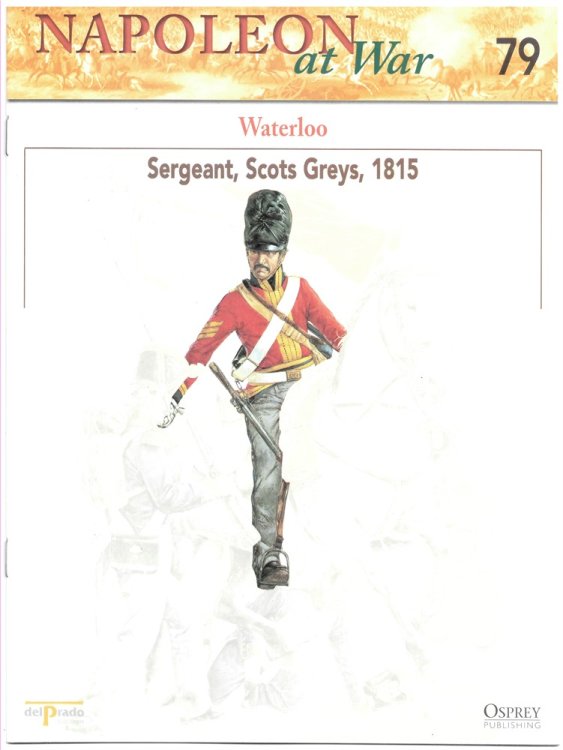 Waterloo. Sergeant, Scots Greys, 1815 (Napoleon At War 79)