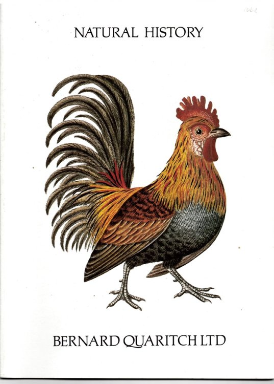 Natural History (Catalogue 1062)