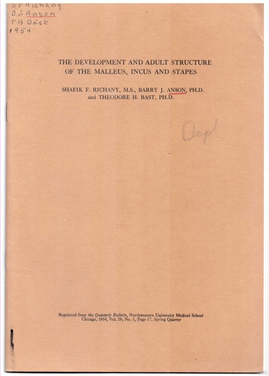 The Development and Adult Structure of the Malleus, Incus and Stapes. Reprinted from the Quarterly Bulletin, Northwestern University Medical School, Chicago, 1954, Volume 28, No. 1, Spring Quarter