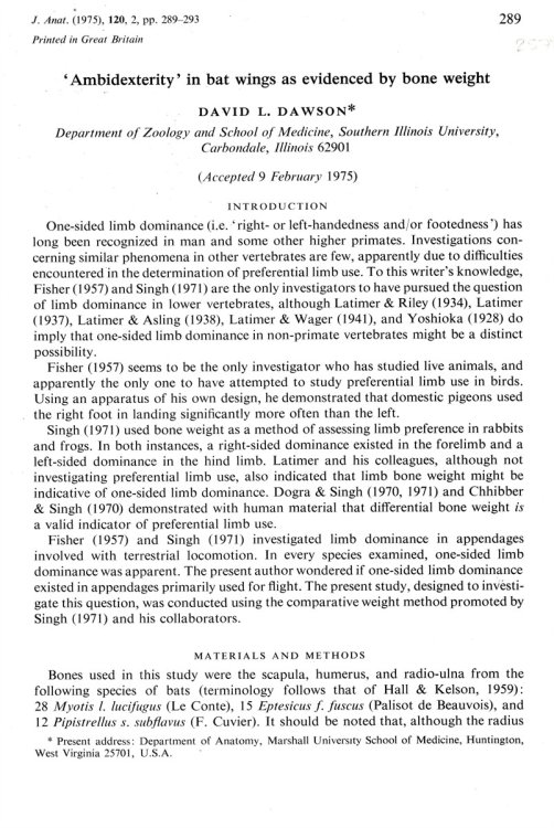 'Ambidexterity' in Bat Wings As Evidenced by Bone Weight. Offprint from the Journal of Anatomy Volume 120 1975 Part 2