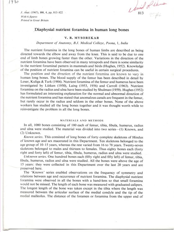 Diaphysial Nutrient Foramina in Human Long Bones. Reprinted from the Journal of Anatomy (1967) Volume 101, No. 4