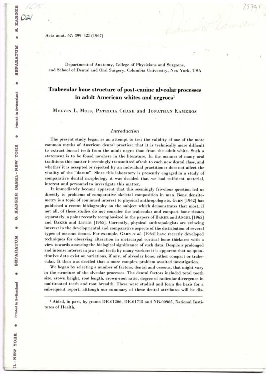 Trabecular Bone Structure of Post-Canine Alveolar Processes in Adult American Whites and Negroes. Offprint from Acta Anatomica Volume 67 1967