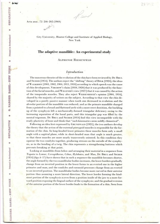 The Adaptive Mandible: an Experimental Study. Offprint from Acta Anatomica Volume 72, 1969