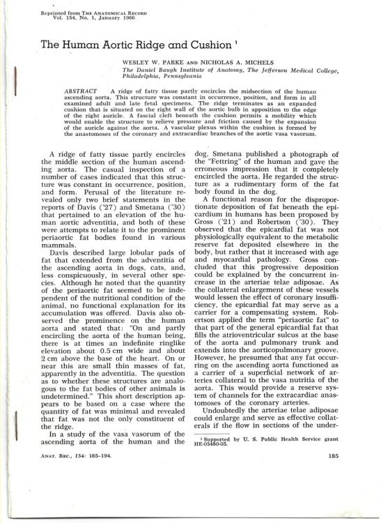 The Human Aortic Ridge and Cushion. Reprinted from the Anatomical Record Vol. 154, No. 1, January 1966