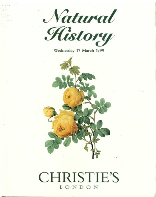 Natural History. Wednesday 17 March 1999