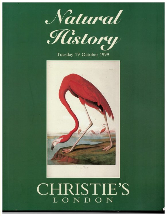 Natural History. Tuesday 19 October 1999