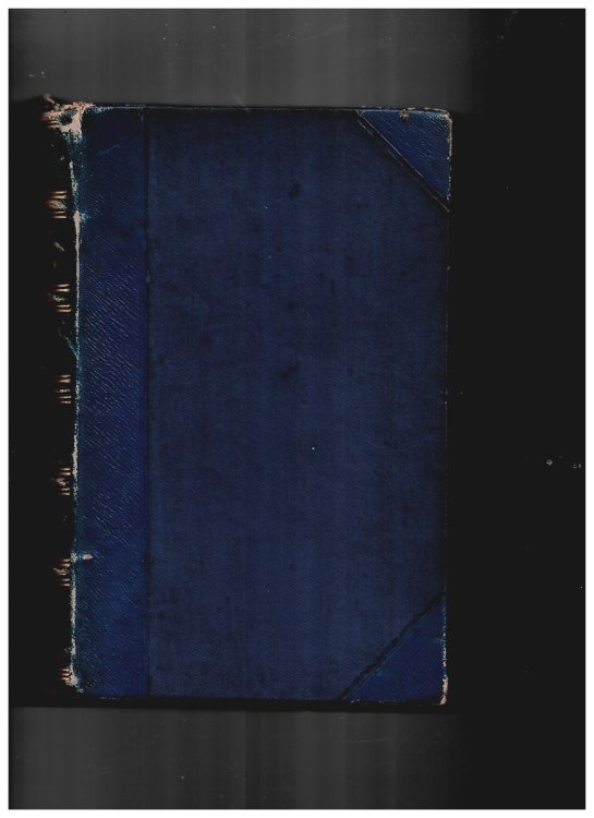 Garibaldi and Italian Unity