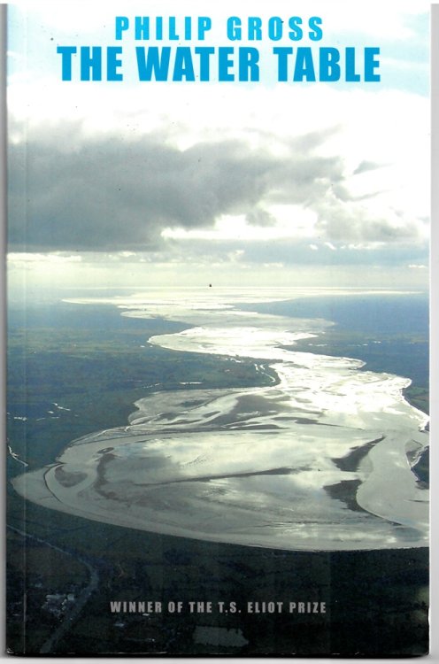 The Water Table by Gross, Philip ( Author ) on Nov-10-2009, [Paperback] Gross, Philip