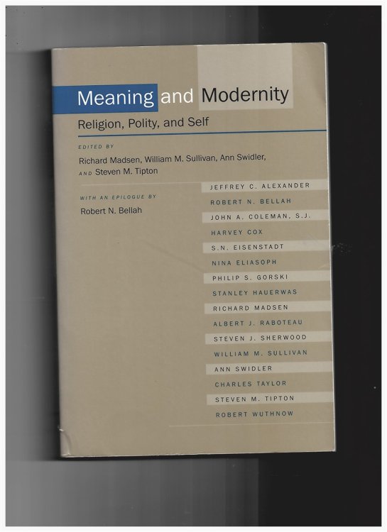 Meaning and Modernity: Religion, Polity and Self [Paperback]