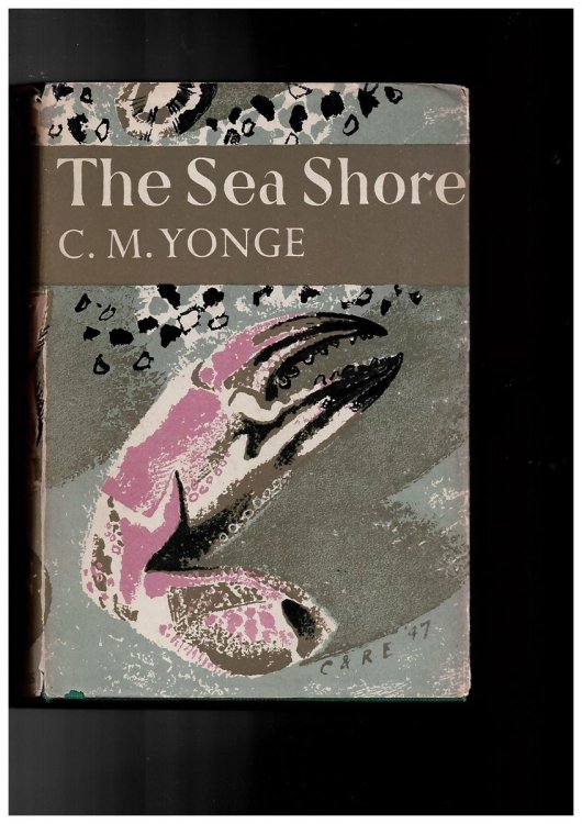 The Sea Shore (New Naturalist Series)