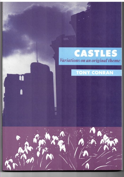 Castles. Variations on an Original Theme
