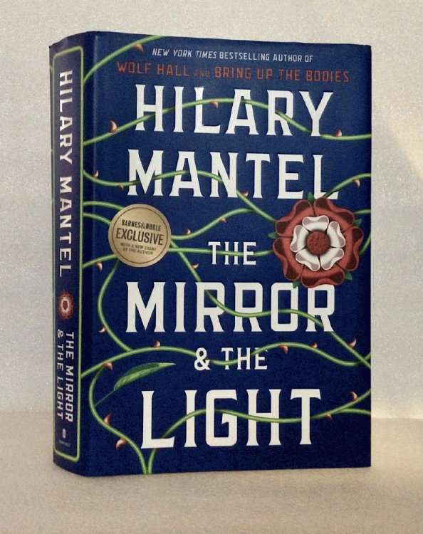 The Mirror and the Light