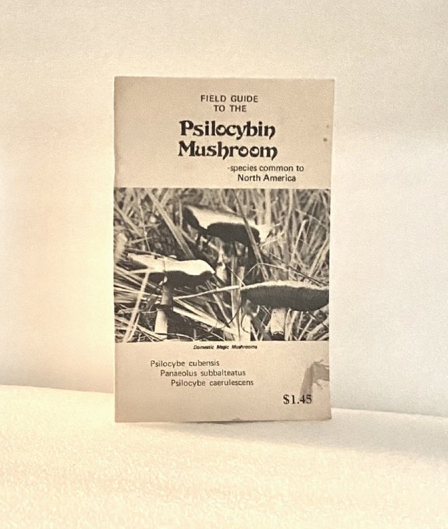 Field Guide to the Psilocybin Mushroom: Species Common to North America