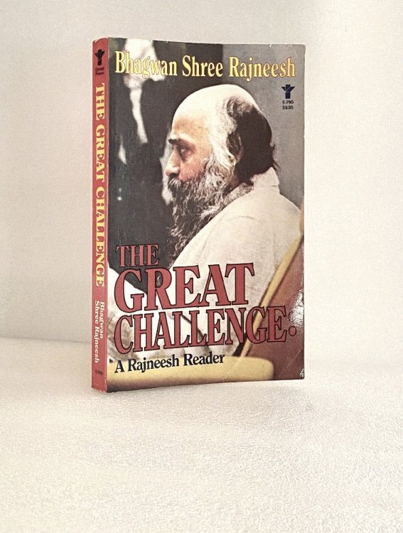 The Great Challenge: A Rajneesh reader (Grove Press Eastern philosophy and literature series)