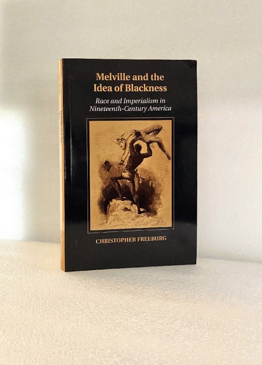 Melville and the Idea of Blackness: Race and Imperialism in Nineteenth-Century America (Cambridge Studies in American Literature and Culture, Series Number 164)