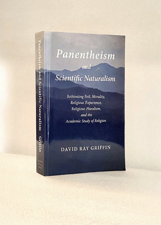 Panentheism and Scientific Naturalism: Rethinking Evil, Morality, Religious Experience, Religious Pluralism, and the Academic Study of Religion (Toward Ecological Civilization)