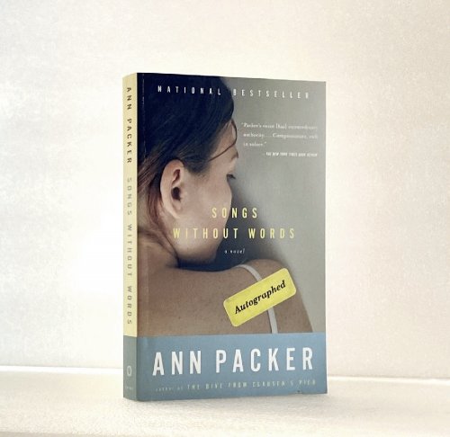 Image for Songs Without Words (Vintage Contemporaries) Songs Without Words (Vintage Contemporaries)