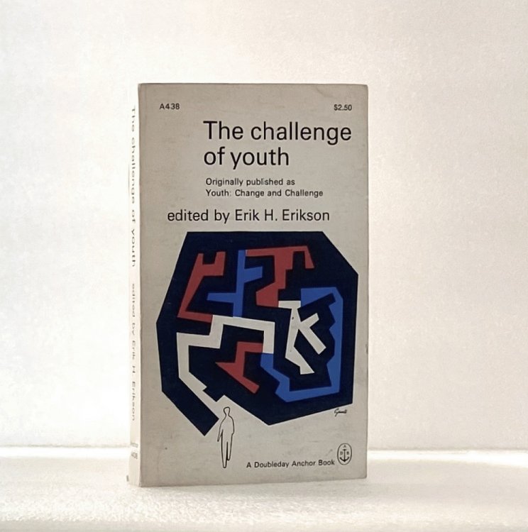 The Challenge of Youth (Doubleday Anchor Book)