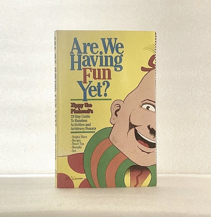 Are We Having Fun Yet