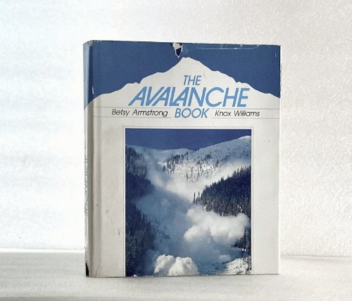 The Avalanche Book Armstrong, Betsy R.