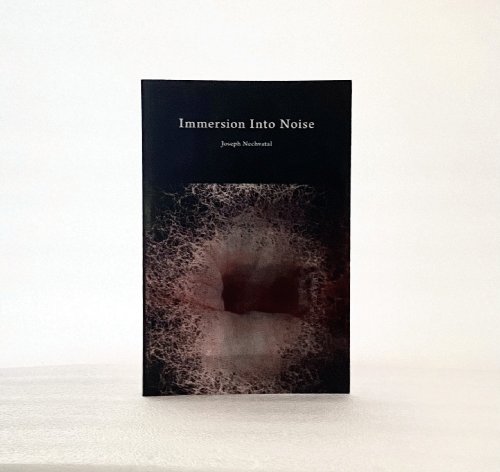 Immersion Into Noise