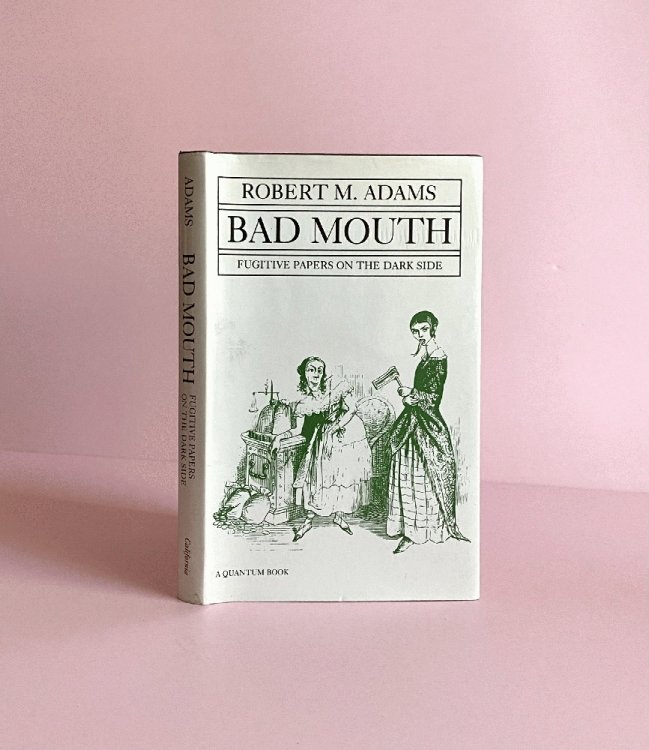 Bad Mouth: Fugitive Papers on the Dark Side