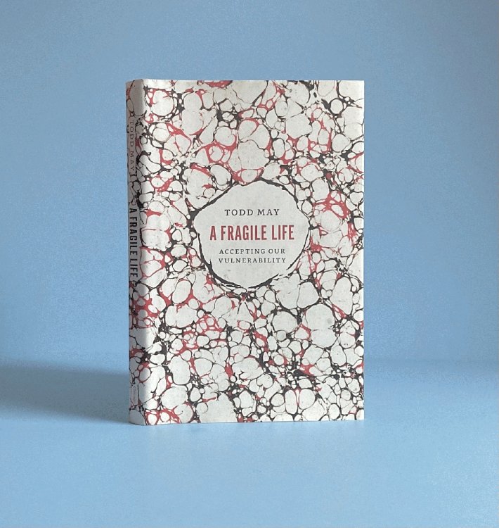 A Fragile Life: Accepting Our Vulnerability