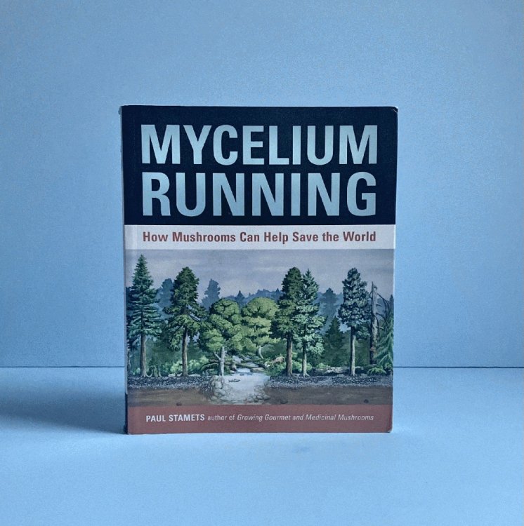 Mycelium Running: How Mushrooms Can Help Save the World