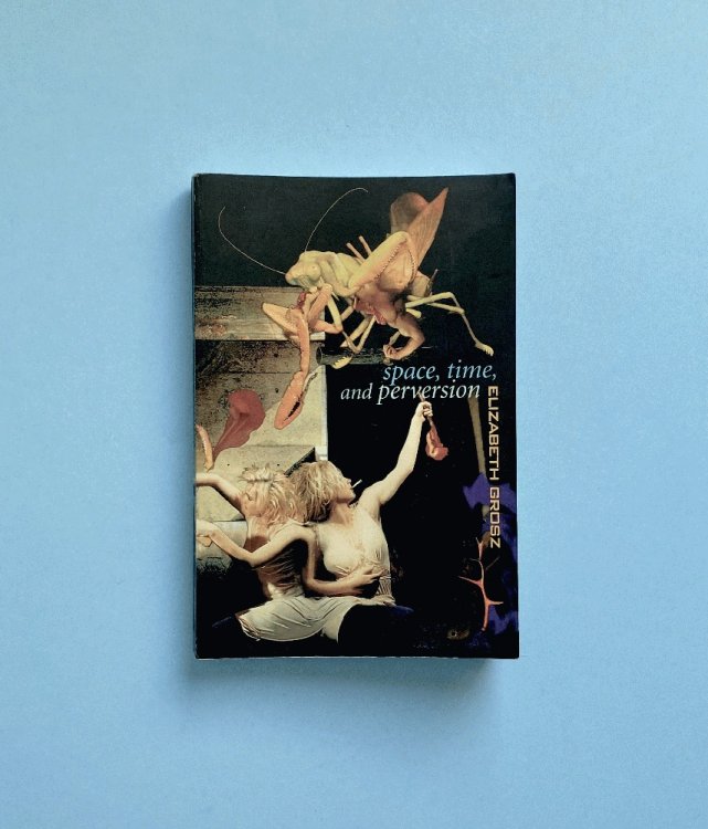 Space, Time and Perversion: Essays on the Politics of Bodies