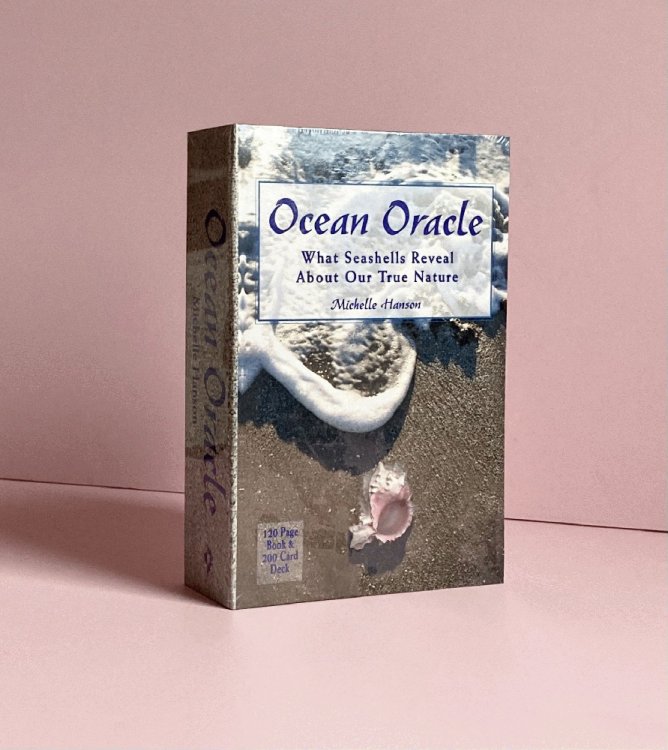 Ocean Oracle: What Seashells Reveal About Our True Nature