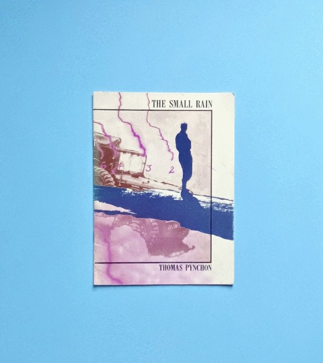 The Small Rain