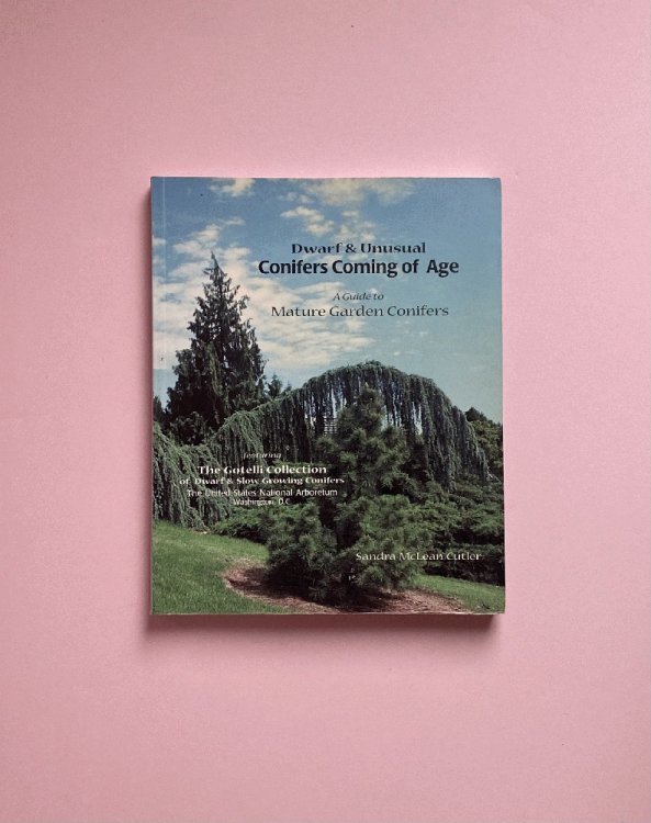 Dwarf & Unusual Conifers Coming of Age: A Guide to Mature Garden Conifers