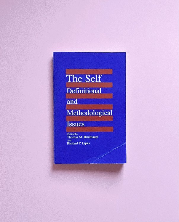The Self: Definitional and Methodological Issues (SUNY Series, Studying the Self)