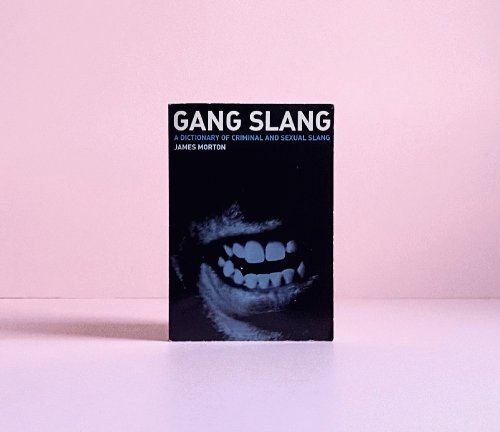 Gang Slang: a Dictionary of Criminal and Sexual Slang