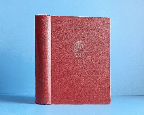Lotus Fire: A Study in Symbolic Yoga
