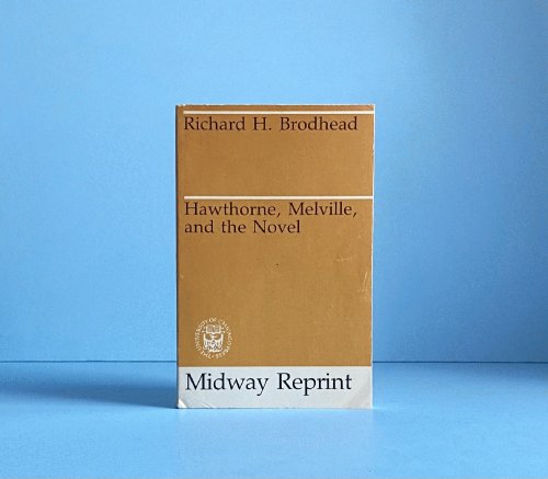 Hawthorne, Melville, and the Novel
