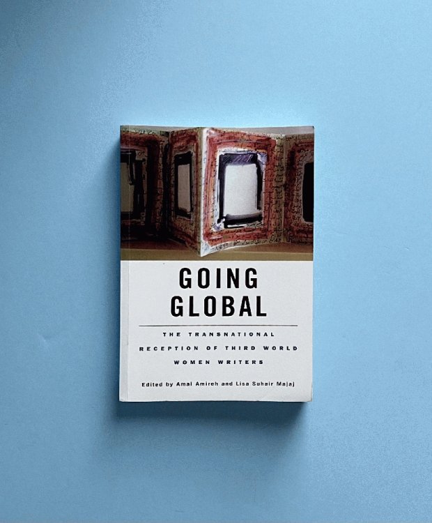 Going Global: the Transnational Reception of Third World Women Writers (Wellesley Studies in Critical Theory, Literary History and Culture, Volume 27)