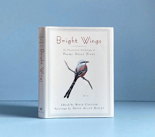 Bright Wings: an Illustrated Anthology of Poems About Birds