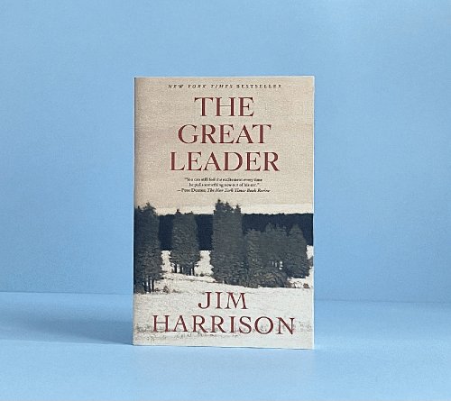 Image for The Great Leader: A Faux Mystery The Great Leader: A Faux Mystery