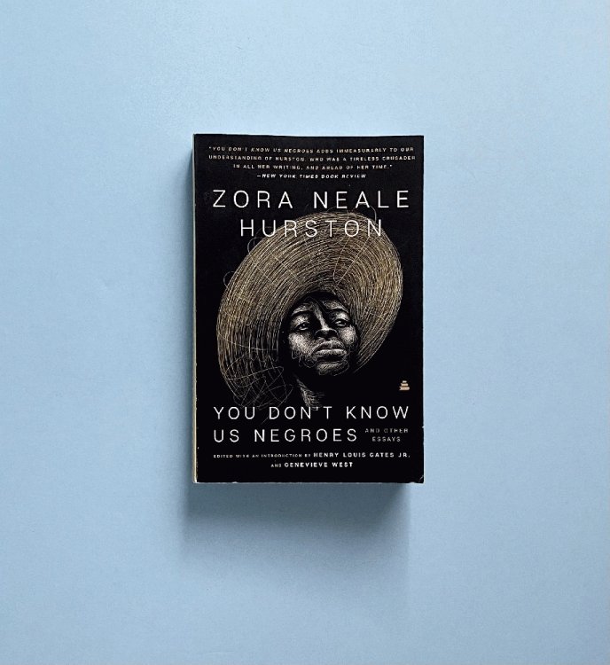 You Dont Know Us Negroes and Other Essays