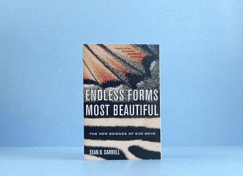Endless Forms Most Beautiful: The New Science of Evo Devo