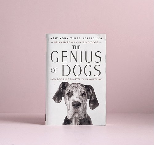 The Genius of Dogs: How Dogs Are Smarter Than You Think