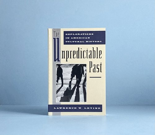 The Unpredictable Past: Explorations in American Cultural History