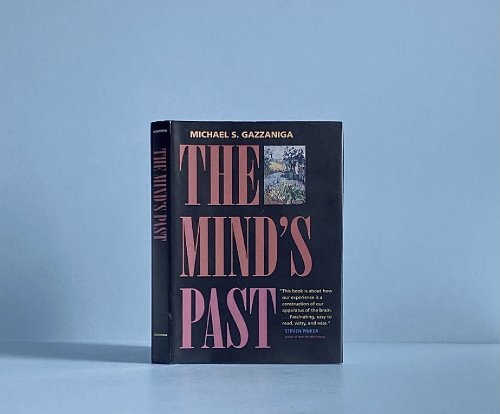 The Mind's Past