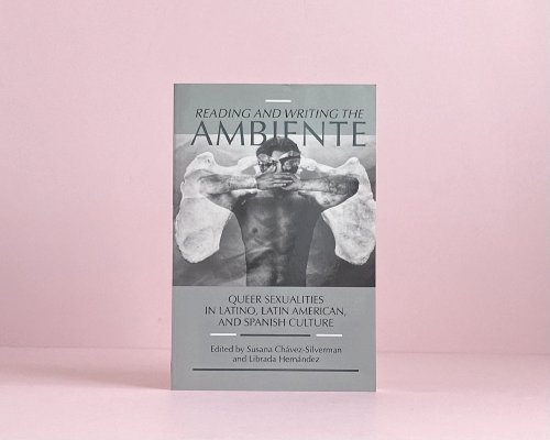 Reading and Writing the Ambiente: Queer Sexualities in Latino, Latin American, and Spanish Culture