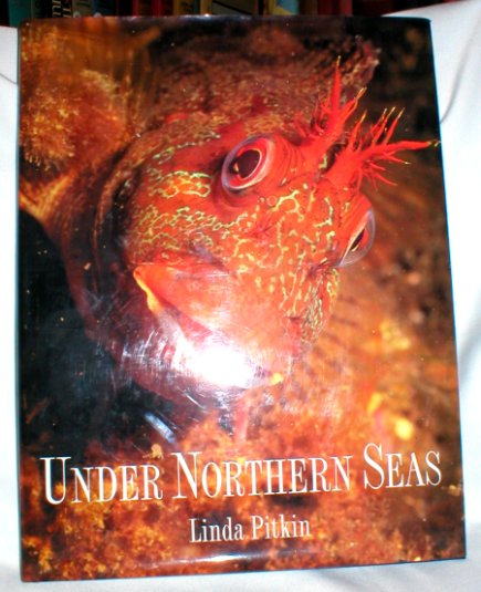 Under Northern Seas