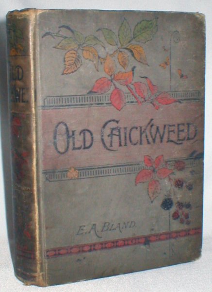 Old Chickweed