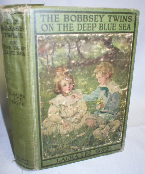The Bobbsey Twins on the Deep Blue Sea